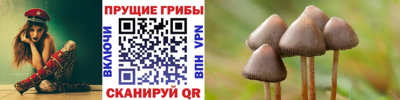 Псилоцибиновые грибы мухоморы  Бийск 