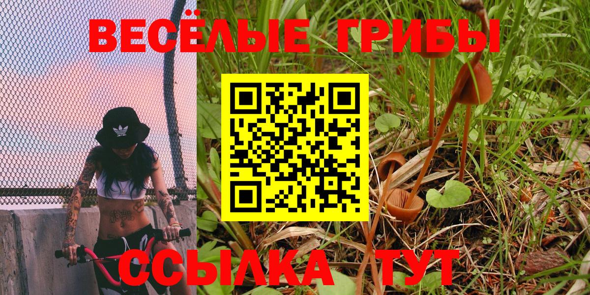 Галлюциногенные грибы мицелий Бийск