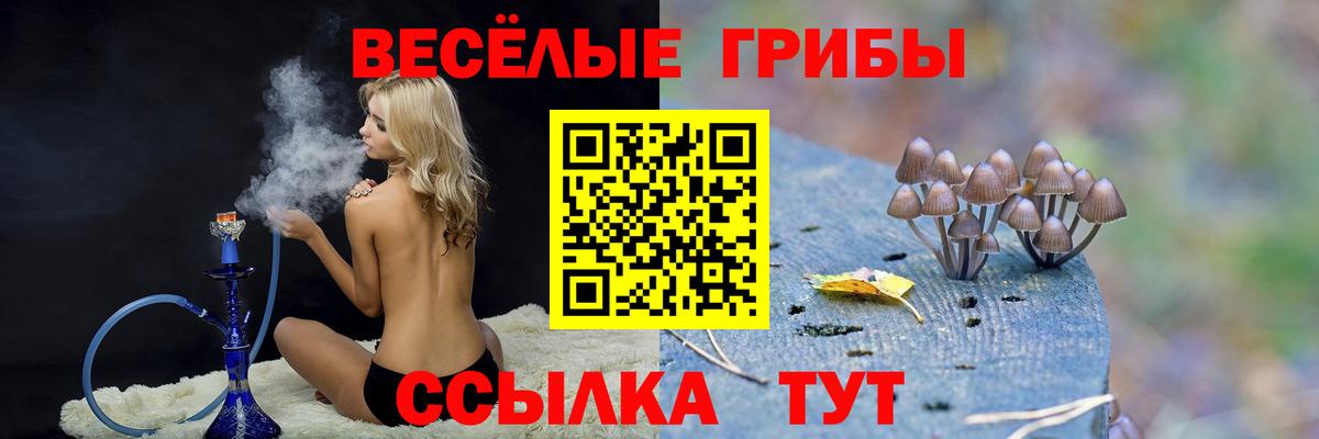 Псилоцибиновые грибы ЛСД  наркошоп  Бийск 